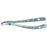 Adult Extraction Forcep, FXX7